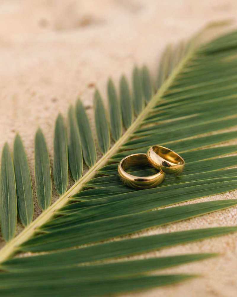 Rings in a palm frond, detail